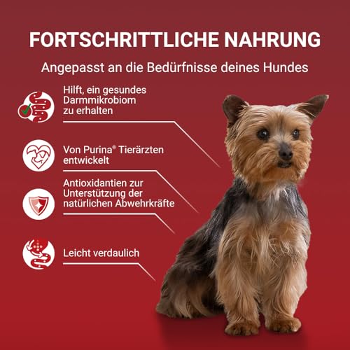 PURINA ONE Mini/Small Adult Hundefutter nass für kleine Hunde, reich an Huhn und Gemüse, 26er Pack (26 x 85g)