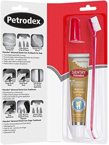 Petrodex Dental Care Kit for Dogs and Puppies, Cleans Teeth and Fights Bad Breath, Reduces Plaque and Tartar Formation, Enzymatic Tooth Brushing Kit, Peanut Flavor, 2.5oz Toothpaste + Toothbrush : Everything Else Product Image
