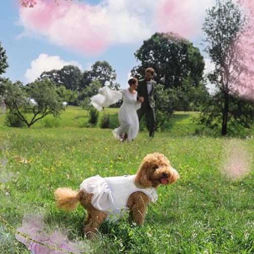 Croci Ceremony Bride Hundehalsband für weibliche Hunde, mit Abnehmbarer Satin-Schleife, weiß mit goldenen Details, für kleine, mittelgroße und große Hunde, M/32-50 cm