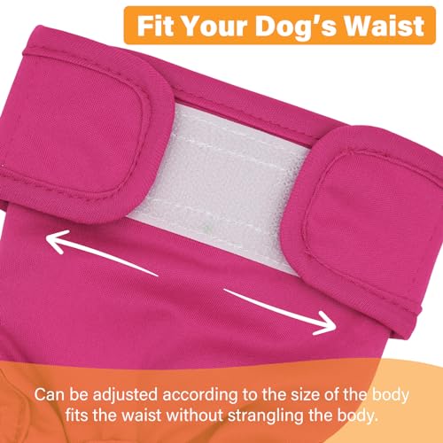 Image of 3Pcs Reusable Female Dog Diapers Physiological Pants, Pet Hygiene Panties Adjustable Shoulder Strap Size for Pets Menstrual Period Multiple Colors S