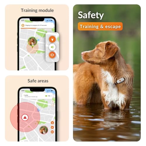 Weenect Dog XS - GPS Tracker for Dogs | Real-time Mini GPS Tracker for Dogs | Waterproof | Smallest model on the market | Operates with a subscription - Image 4