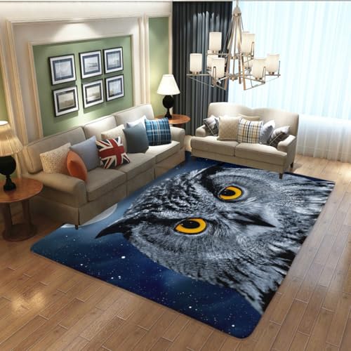 �ӂ��낤 �� �J�[�y�b�g �O�~ �Ɍ� ���O ���O�}�b�g floor mat �􂦂� ���ی� �ݒu�ȒP �h�_�j �R�� �h�L ���� ����~�ߕt ���g�[�Ή� 150×200cm