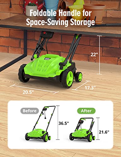 13-Inch 12 Amp Electric Dethatcher Scarifier with Foldable Handle, 2-in-1 Lawn Dethatcher with Two Safety Switches, 4-Position Depth Adjustment for Garden, Yard