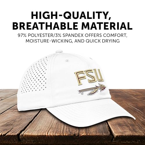 Gorra Snapback Desert Cactus Florida State University miniatura 4