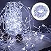 Ipow LED Lichterkette kaltweiß außen, 33M 300 pcs Lichtervorhang Innen wasserdicht Lichterketten mit Stecker, 8 modi. Perfekt für Party, Fenster, Hochzeit, Garten, Zimmer, Weihnachten, Weihnachtsbaum
