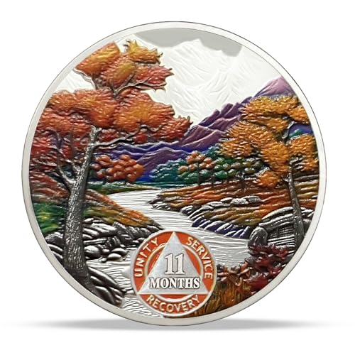 Image of Imasoner 11 Month Sobriety Coin, Autumn Seasons AA Medallion Recovery Chip