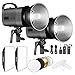 Neewer 500W Studio Strobe Flash Photography Lighting Kit:(2) 250W Monolight,(2) Softbox,(1) RT-16 Wireless Trigger,(2) 33 inches Translucent Umbrella for Video Portrait Location Shooting(N-250W)