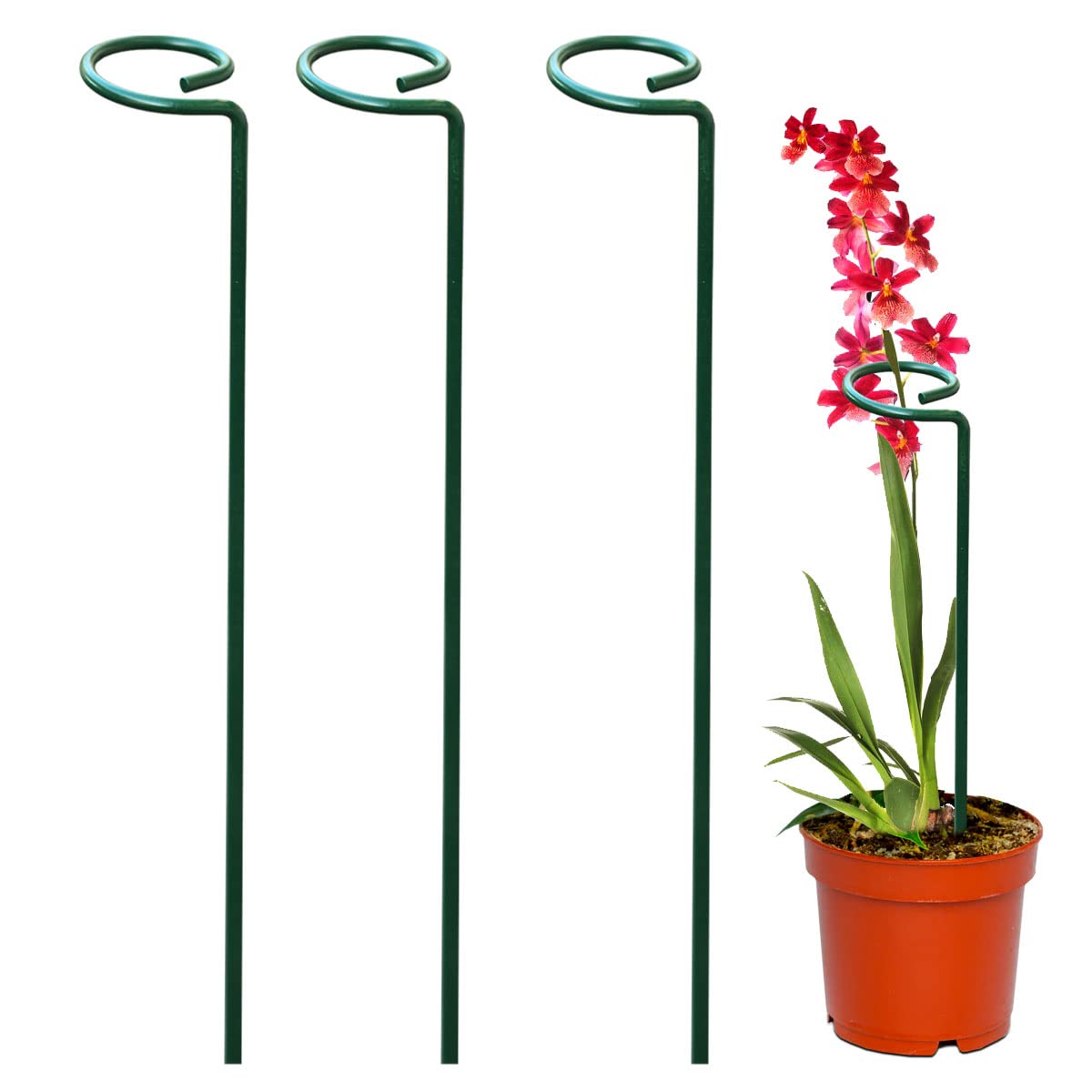 Urban Plant Garden Stakes - Metal Plant Support Sticks (18 Inch, 10) (B0D17Y1V56) Amazon Price History, Amazon Price Tracker