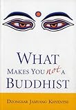 what makes you not a buddhist