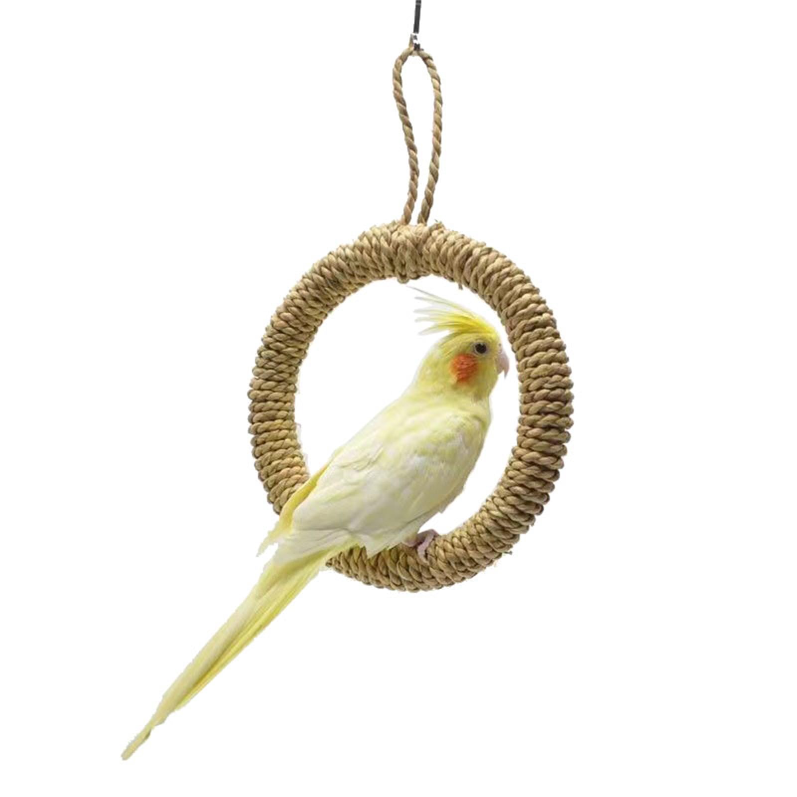 オウムスタンド(ヨウム用) オウムスタンド(ヨウム用) 楽天市場】オウム スタンドの通販