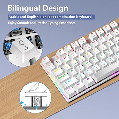 Image of UCHUANG English Arabic Gaming Keyboard with RGB LED Different Backlight Effects for iOS, Android, Windows and Mac, USB Wired Gaming Mechanical Waterproof Keyboard 87 Keys - White