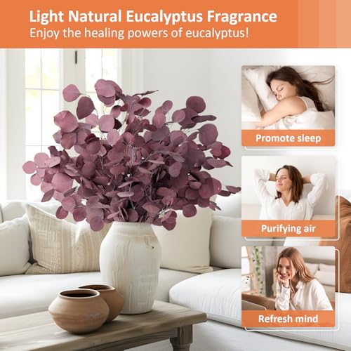 La mejor selección de Hojas secas - los preferidos. 21 Imagen adicional