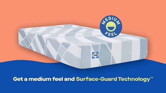 Amazon.com: Sealy Dreamlife 10” Foam Mattress-in-a-Box, Twin