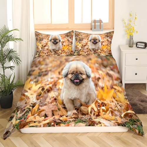 Housse de couette animal de compagnie 200x200 avec fermeture éclair douce Kg2092 - 3