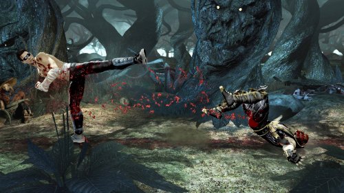 Mortal Kombat - vue 8