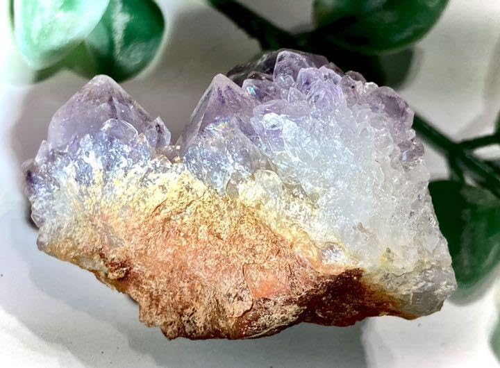 Amazon.co.jp: レインボー カクタスアメジスト サボテン水晶