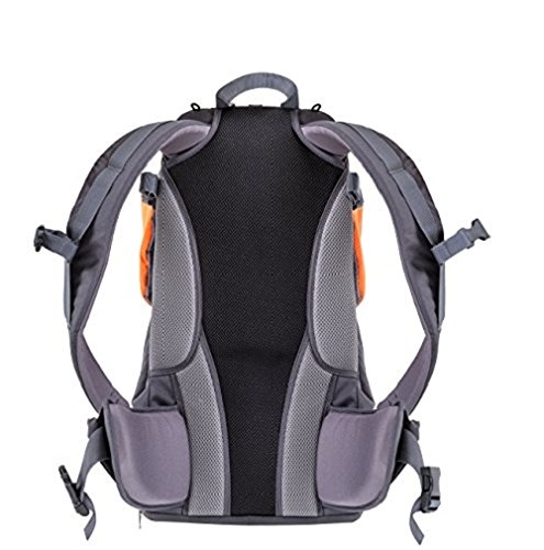 Phil&Teds CPA_V1__44_200_USA Parade Child Carrier Frame Backpack thumb #9