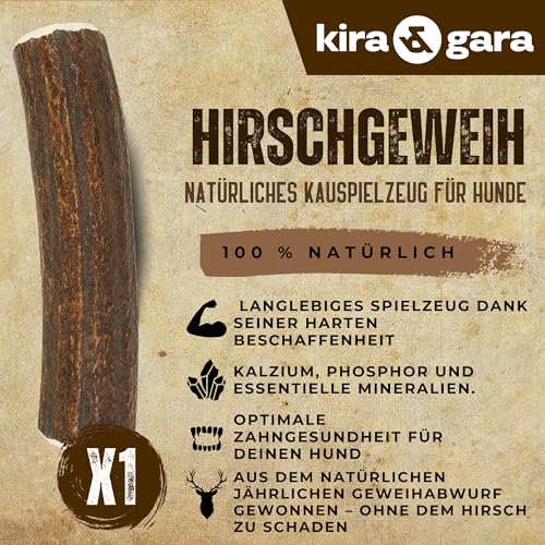 Hirschgeweih Hund – Kaustab Naturkauer | Zahnpflege | Ohne Zusatzstoffe – Kira&Gara® (L · 101-150g · 1 Stück) – Ansicht 2
