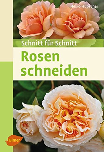 Rosen schneiden: Schnitt für Schnitt Rosen schneiden: Schnitt für Schnitt