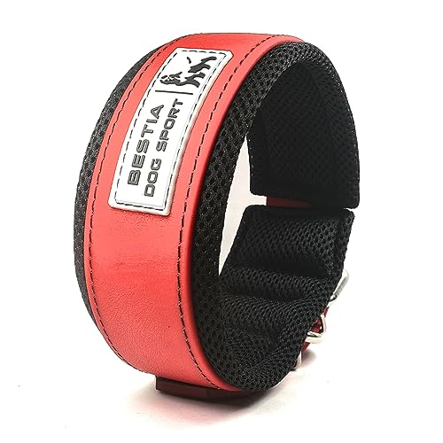 Bestia Dog Sport Collare per Cani Ultra Resistente. Imbottito. Impermeabile