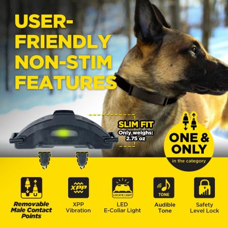 Dogtra ARC-X Kit 1 Collar de Adiestramiento para Perros | Vibración XPP Avanzada, Alcance 1,2 km, Extensible hasta 3 Perros, IPX9K, Para Perros Desde 7 kg