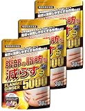 【3袋セット】フラムジンジャー 機能性表示食品 脂肪を減らす ダイエットサポートサプリ 30粒✕3袋