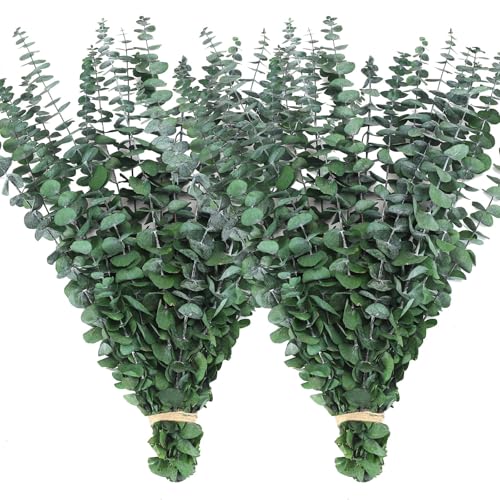 40 Pcs Dried Eucalyptus Stems for Shower, 17'' Natural Real