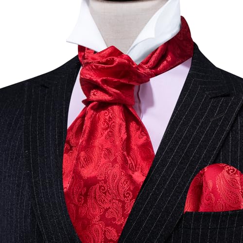 Image of Barry.Wang Ascot Ties Cravat Tie Men Paisley Plaid Scarf Self Tie Pocket Square Cufflinks Set Wedding Party