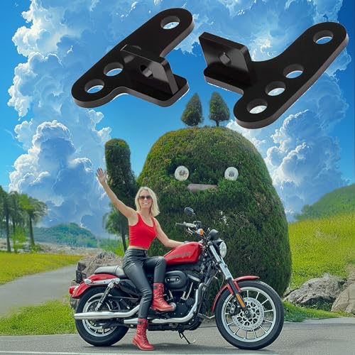 Harley Sportster Lowering Kit 1988–1999 — Lower 2″ for Shorter