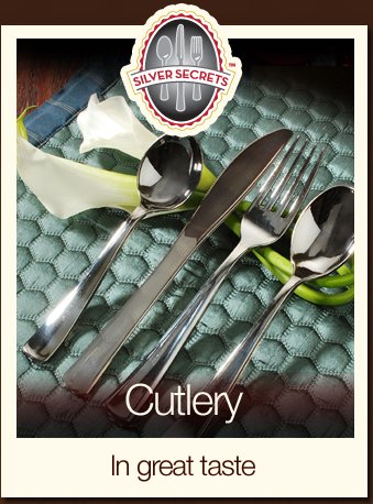 Disposable Silver Knives - 24 Count Silver Plastic Knives