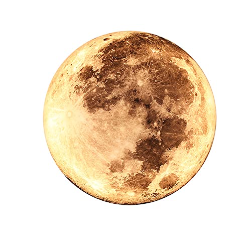 Plafonnier LED dimmable lune 3D avec intensité lumineuse réglable 24cm