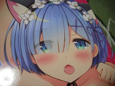 Amazon リゼロ 猫耳 レム スバル誌d森あいり 漫画本 Re ゼロから始める異世界生活 アニメ Moriq アニメ 萌えグッズ 通販