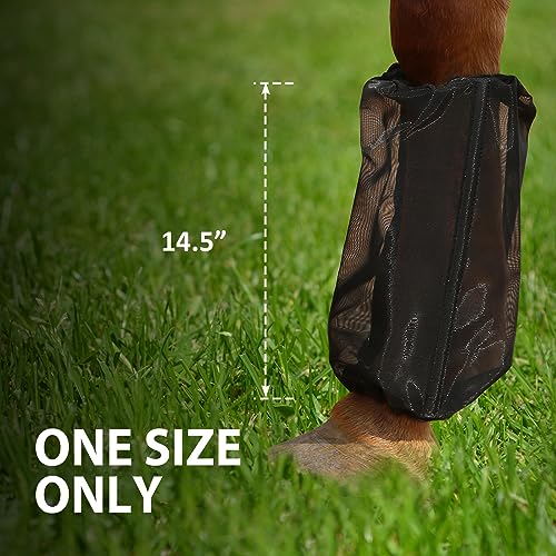Image of Universal Size Horse Leggings Fine Mesh Horse Fly Boots Greatly Reduce Stomping Breathable Horse Boots Leg Wraps (Set of 4) Black