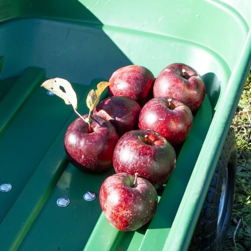 Komodo GARDEN DUMP TROLLEY Tipping Wheelbarrow Tip Truck 5 Komodo GARDEN DUMP TROLLEY Tipping Wheelbarrow Tip Truck - Image 5