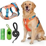 SAN KARA Arnés para Perro Ajustable con Correa de 1.5 m, Bolsa Porta Desechos, Reflectante, Transpirable, Antitirones...