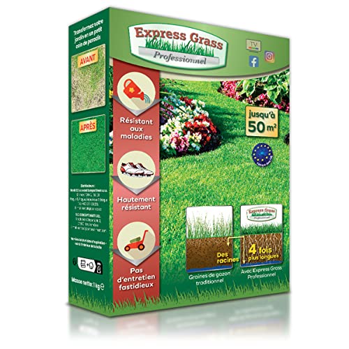 Gazon Express Professionnel - Fiable, résistant froid et chaleur - Germination ultra rapide et dense (10 jours) - Tout type de climat (1 boîte 50M²)