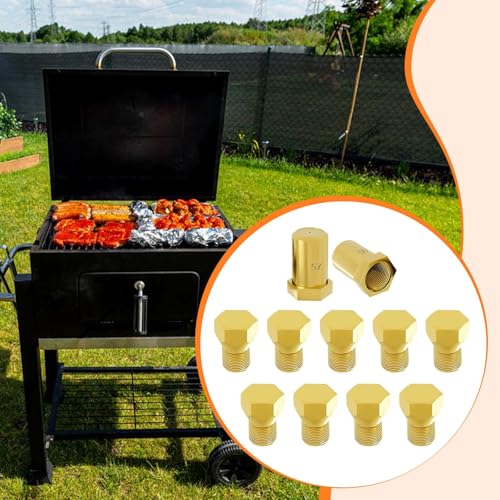 Kit conversion propane cuisinière injecteur gaz buse 4980407 316243720 - 5