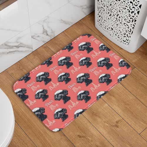 Novastar Paillasson d'entrée extérieur intérieur ou extérieur – Joli tapis de cuisine imprimé Tour Eiffel pour sol, tapis de salle de bain lavable pour...