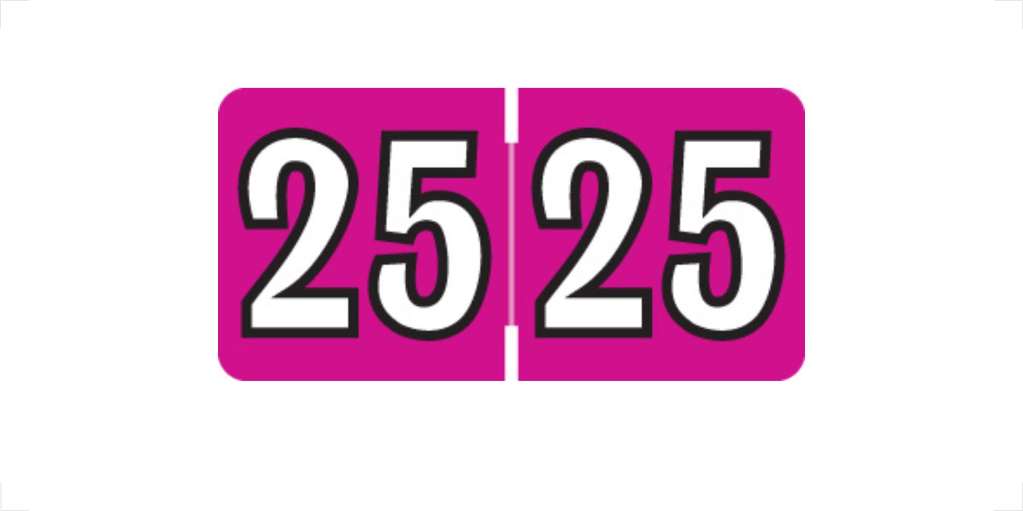 MINI 2025 Year Labels, Doctor Stuff 2025 Chart Stickers, Fuchsia Color Coded, Colwell Jewel Tone Style, USA Made Year Stickers for End Tab File