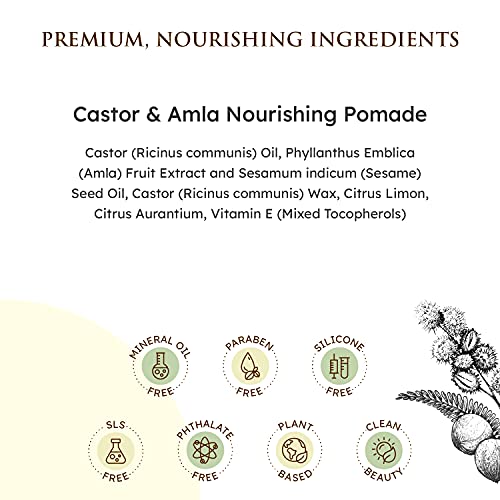 Qhemet Biologics QHEMET-172 Castor & Amla Nourishing Pomade - Vegan Pomade And Scalp Conditioner With Castor Oil And Amla - Adds Softness, Pliability & Sheen To Locs, Cornrows, Twists & Loose Hair thumb #6