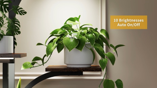Plant Stands Indoor, 64
