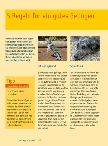 Spiel & Spaß mit Hund: Beschäftigungsideen für zu Hause und unterwegs