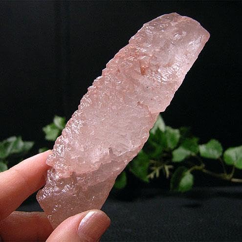 ポイント(ヒマラヤ水晶/アイスクリスタル6)トライゴーニック・C面 Amazon.co.jp: ポイント(ヒマラヤ水晶アイスクリスタル6