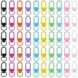 50 Stück Mini Karabiner Schlüsselanhänger, schlüsselanhänger aus Zinklegierung Schlüsselanhänger Basteln mit 360 Grad Drehbar Karabinerhaken Schlüssel und Heimwerkerbedarf Schlüsselringe DIY Zubehör