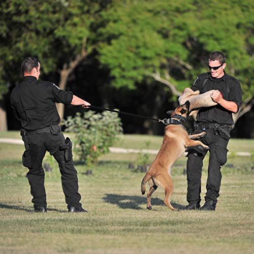 Viper Biothane K9 Working Dog Leash Waterproof Lead For Tracking Training Schutzhund Odor-Proof Long Line With Solid Brass Snap For Puppy Medium And Large Dogs #TOP7