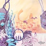 immagine banner Amazon