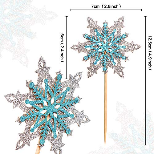 Ercadio 24 Pack Snowflake Cupcake Toppers Double Layers Silver And Blue Winter Theme Cupcake Picks Baby Shower Kids Birthday Party Christmas Cake Decorations Supplies #TOP1