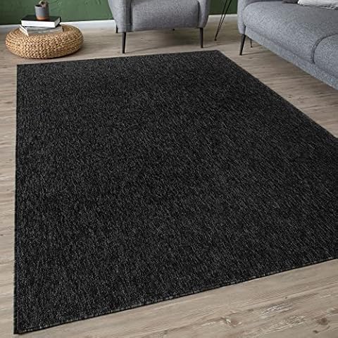 THE RUGS Low Pile Area Rug for Indoor Use Cover