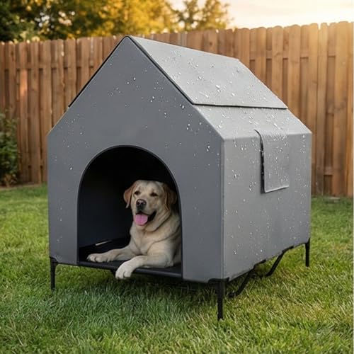 dog houses outdoor