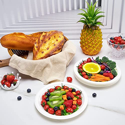 Piatti di carta super rigidi, piatti di bagassa